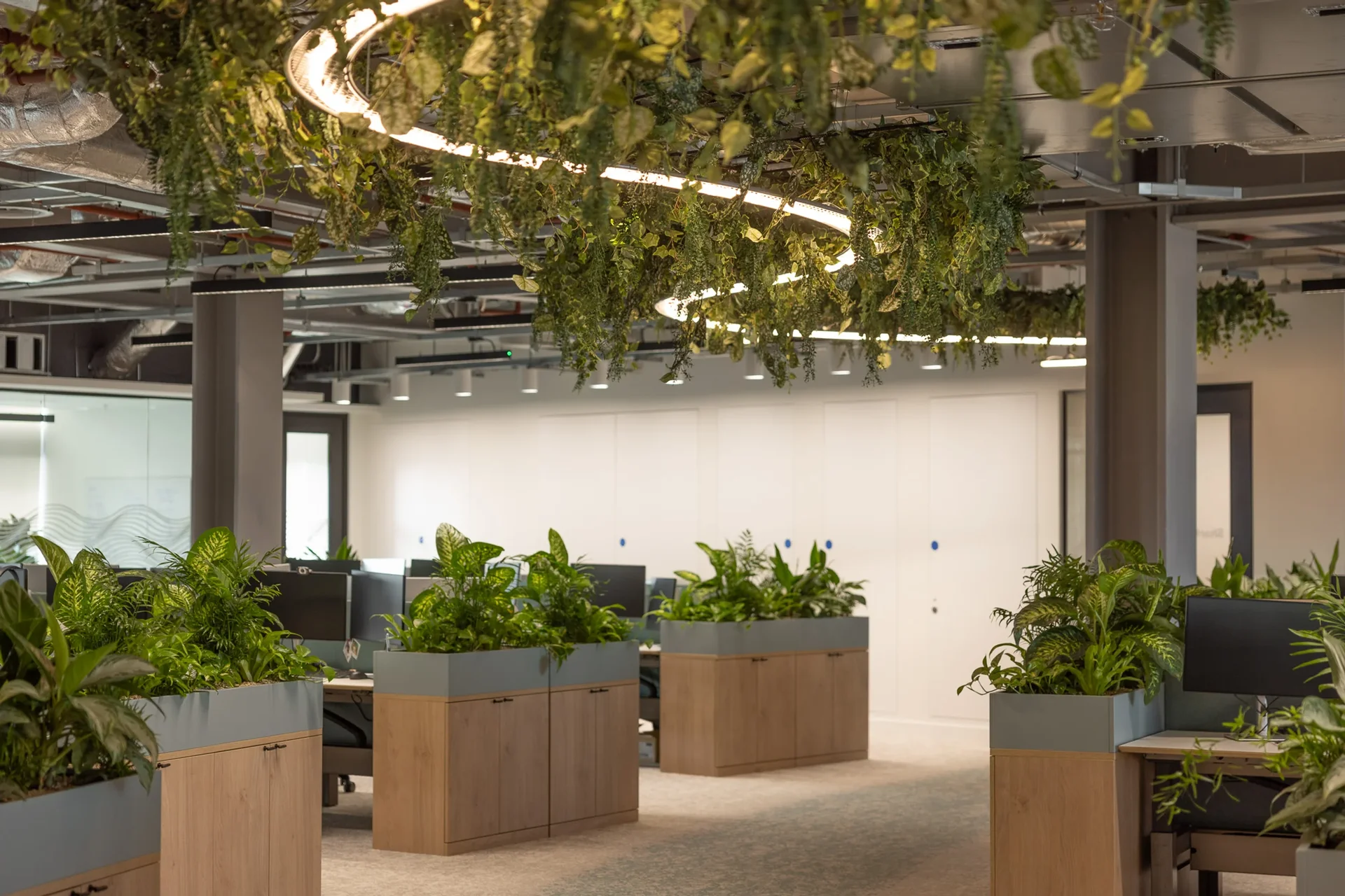 5 Best Plant Shops in Sheffield - Discover greenery for your indoor spaces