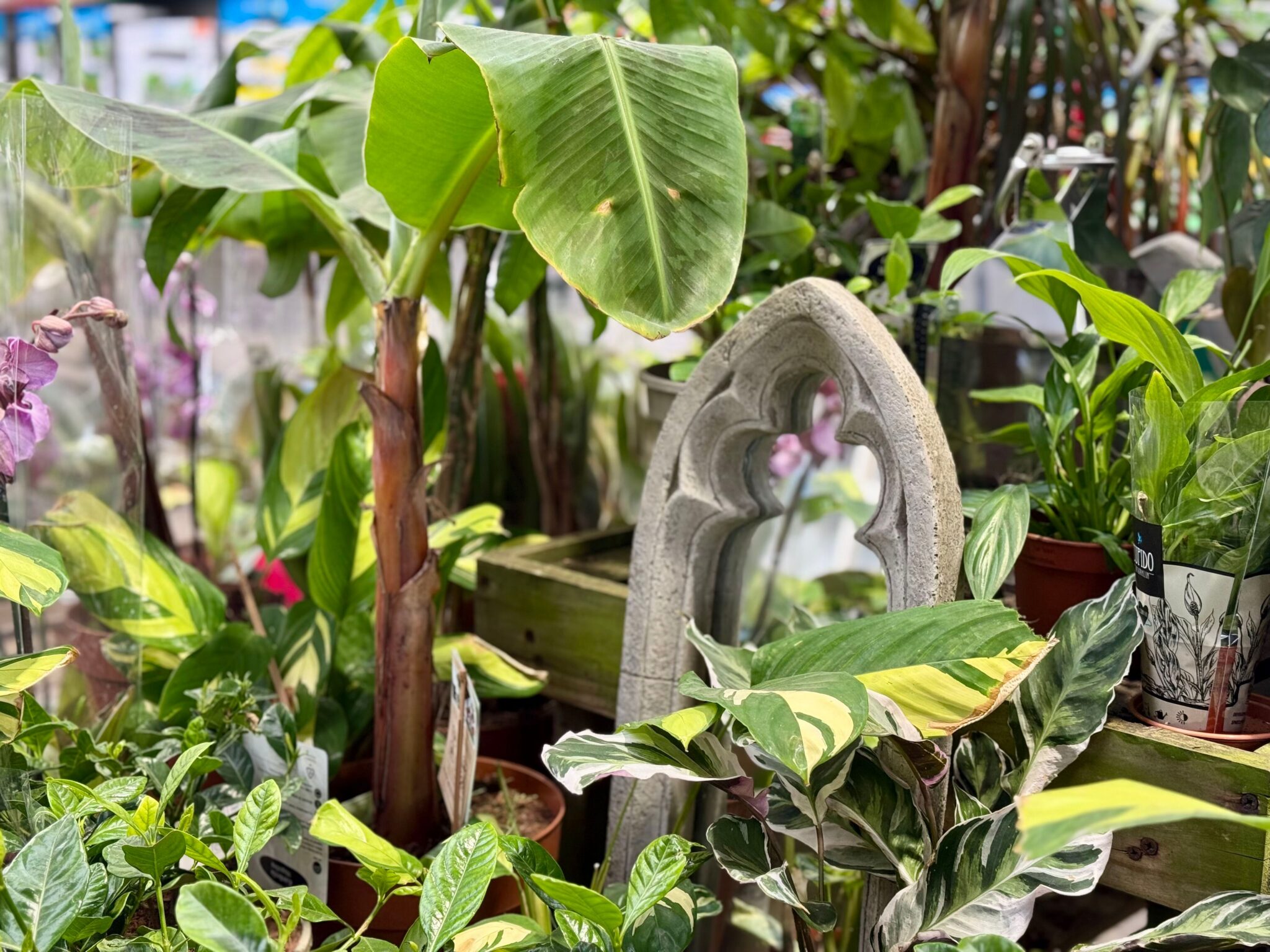 5 Best Garden Supply Shops in Sheffield - Explore essentials for your outdoor projects