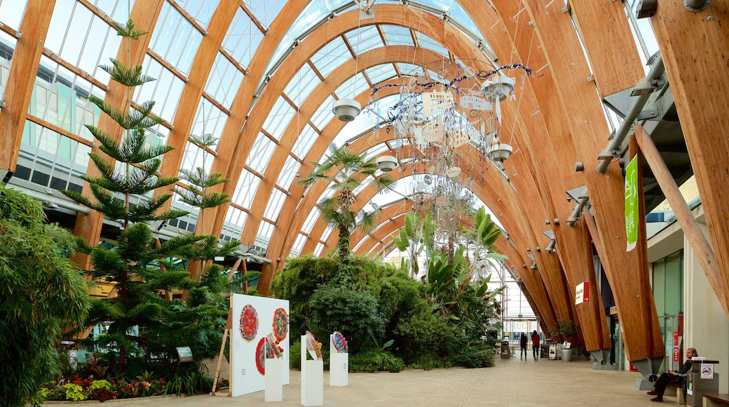 5 Best Garden Centres in Sheffield - Explore plants for your outdoor space
