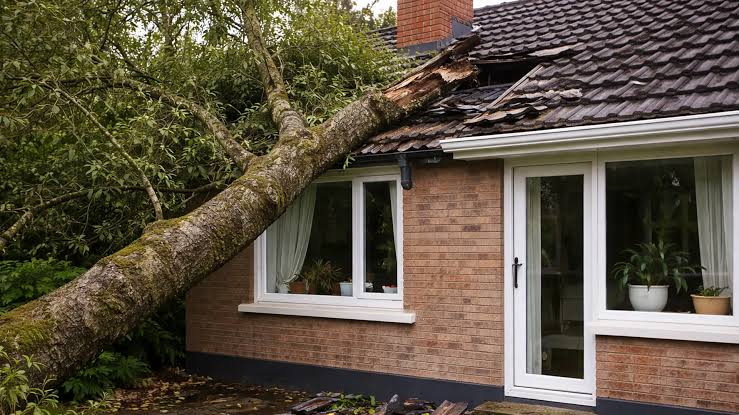 6 Questions About Storm Damage Claims With UK Insurers